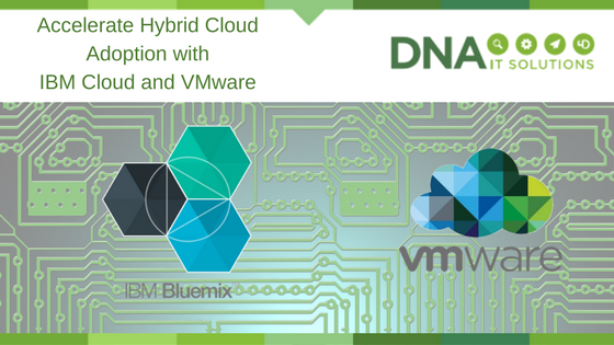 Hybrid Cloud DNA IT