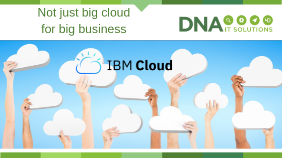 IBM Cloud Not just Big Cloud for Big Business DNA IT Solutions