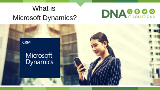 Microsoft Dynamics DNA IT